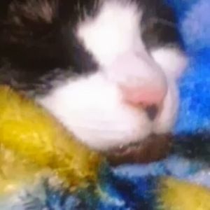 Meet your Posher, Ali